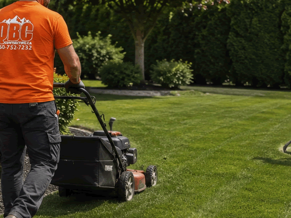 Lawn Care Service