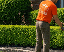 Trimming Service